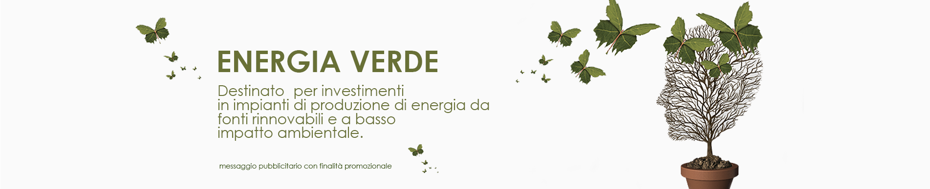 FINANZIAMENTO ENERGIA VERDE